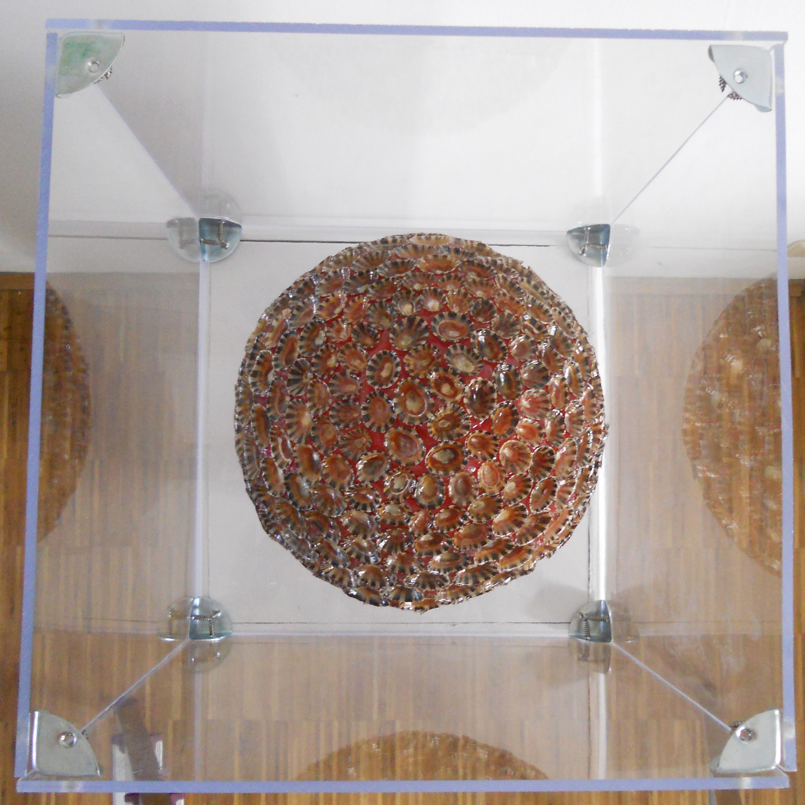 MW 28 (Hohe Aufl&ouml;sung)